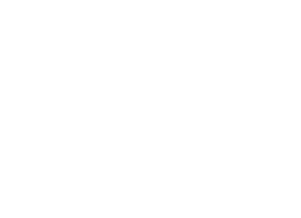 Ballet Basics Online